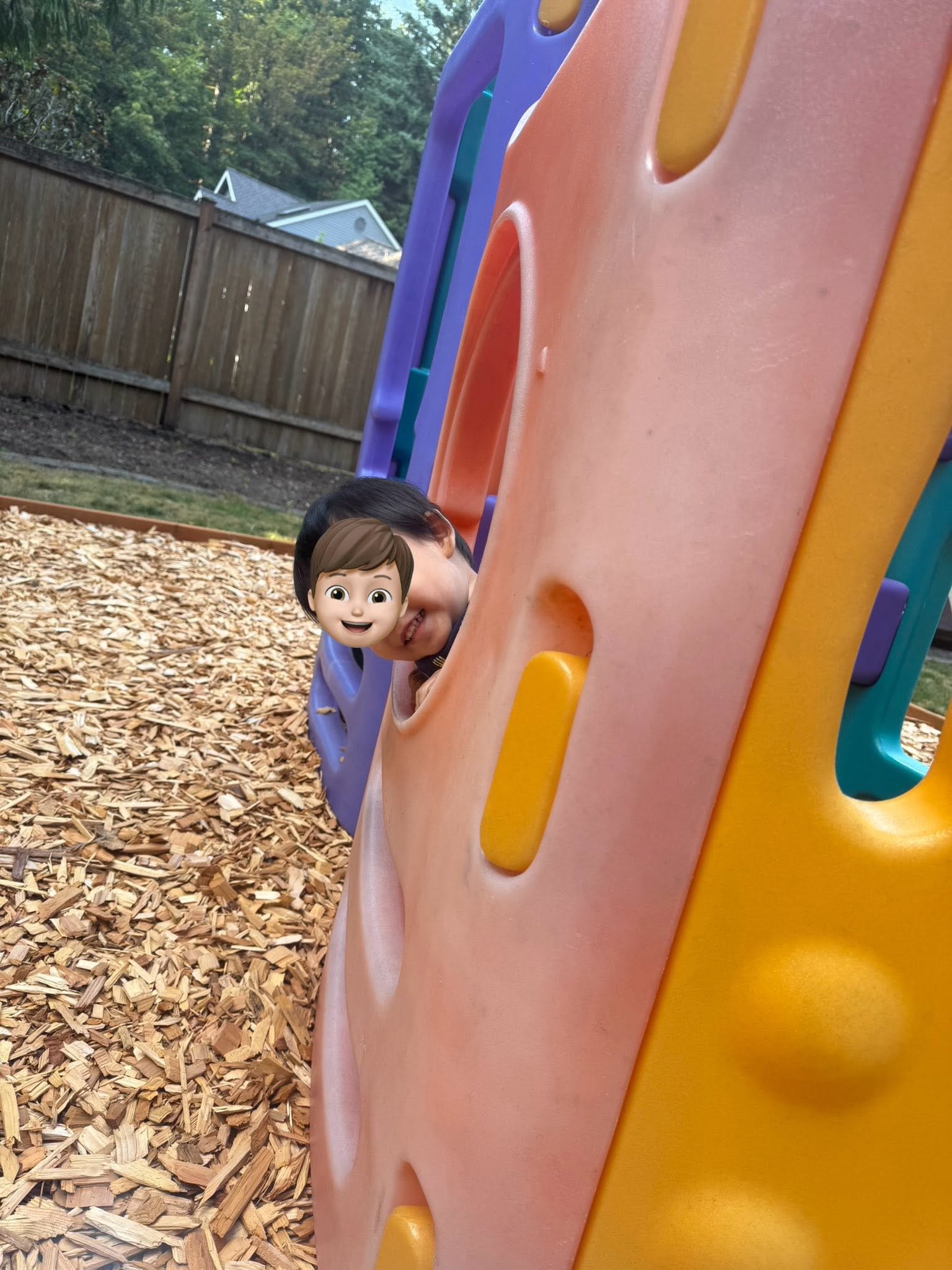 Panda Bear Childcare — child peeking through playground climber