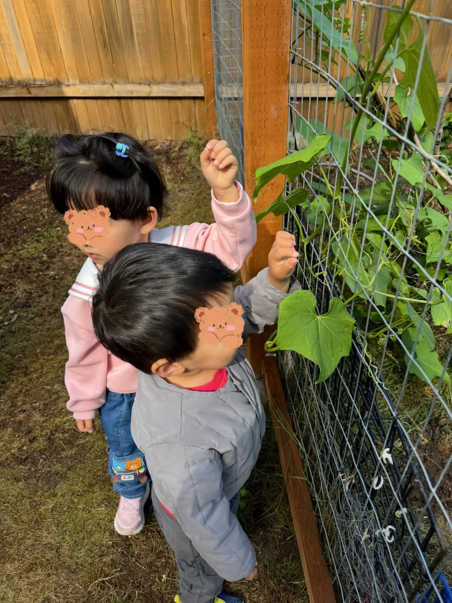 Panda Bear Childcare — young children exploring garden plants together