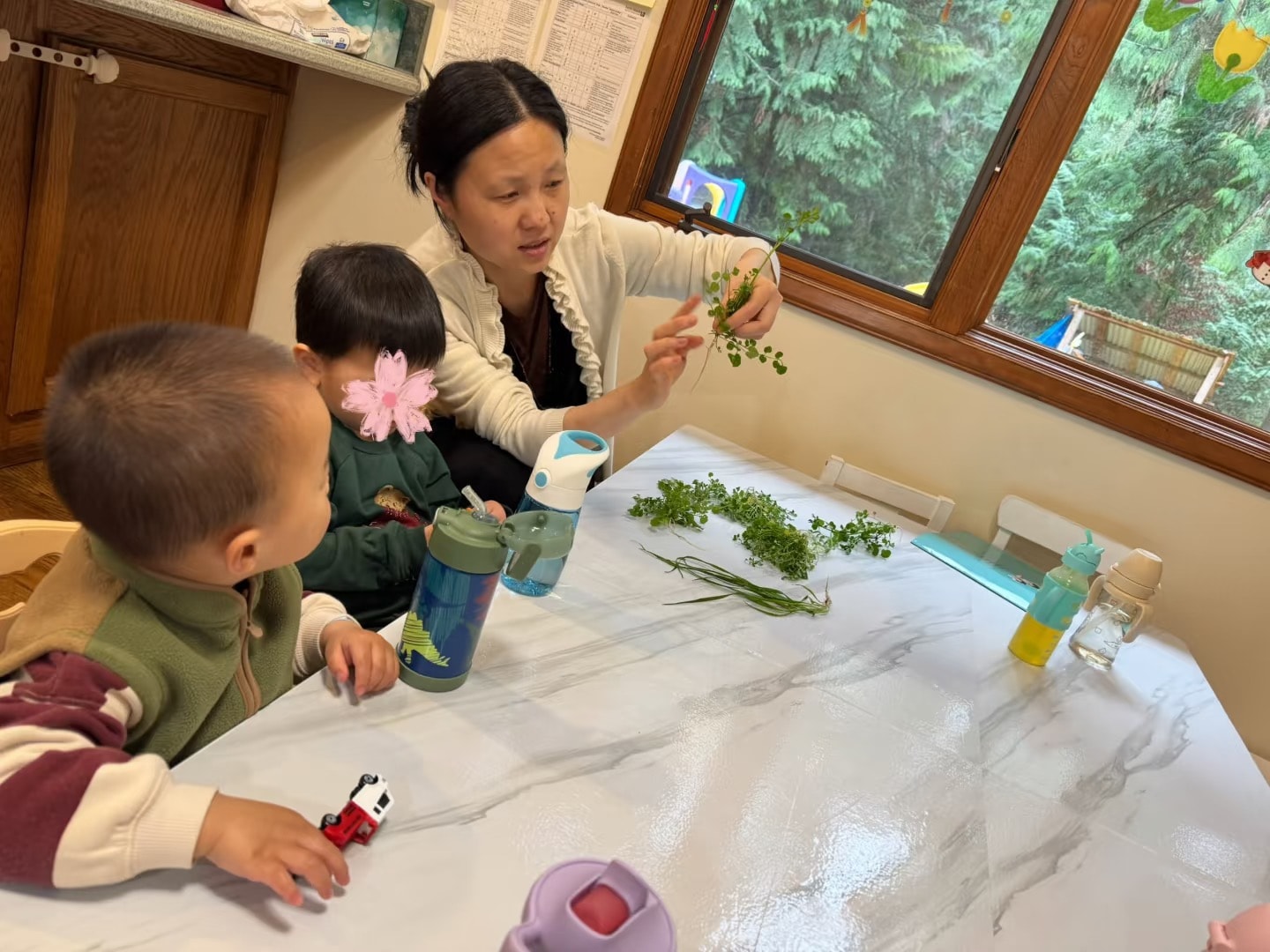 Panda Bear Childcare — woman teaching children plant science activity